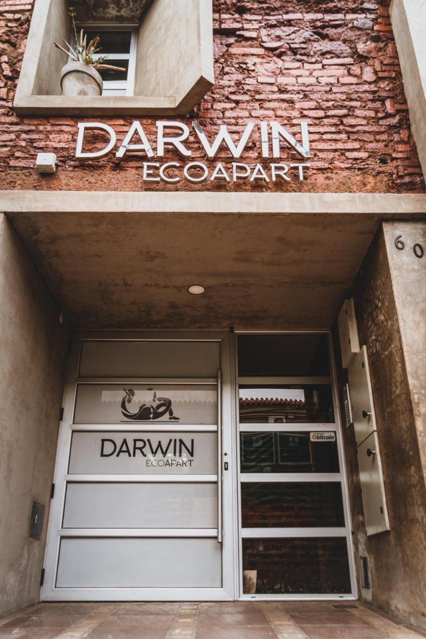 Darwin * Salta